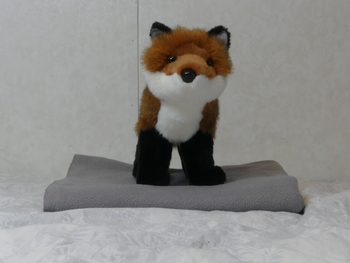 Unnamed 41 (Red Fox, Douglas)